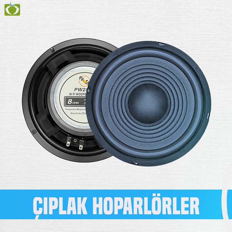 Çıplak Hoparlörler